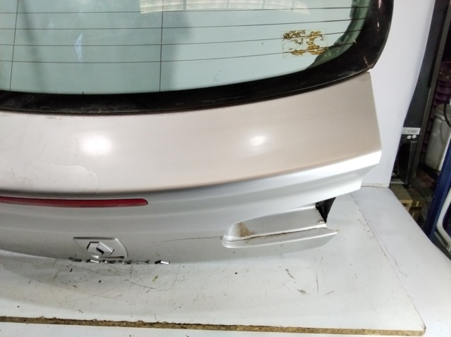 Drzwi tylne (bagażnika 3/5) 7751474532 RENAULT