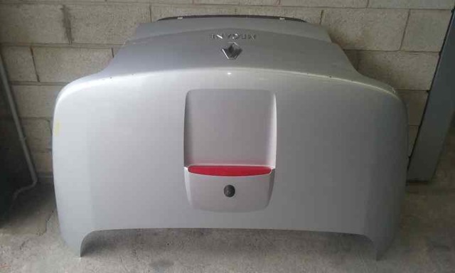 Drzwi tylne (bagażnika 3/5) 7751477223 RENAULT