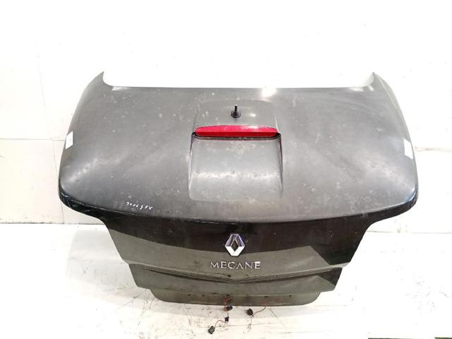 Drzwi tylne (bagażnika 3/5) 7751477223 RENAULT