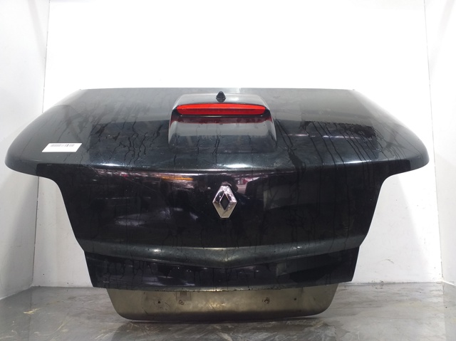 Drzwi tylne (bagażnika 3/5) 7751477223 RENAULT
