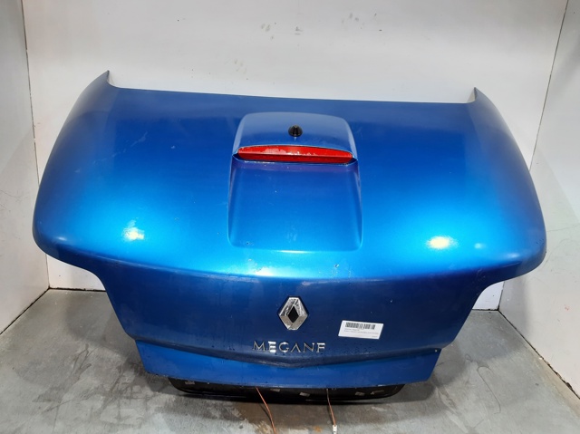 Drzwi tylne (bagażnika 3/5) 7751477223 RENAULT