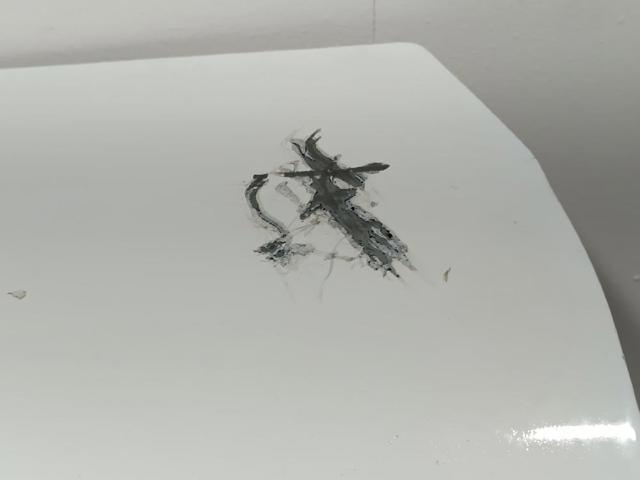 Drzwi tylne lewe Renault Kangoo 2 FW0