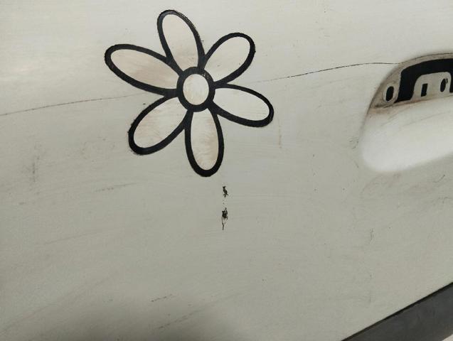 Drzwi przednie lewe Renault Clio 2 BB, CB