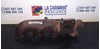 Kolektor wydechowy 779738903 BMW