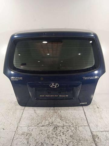 Drzwi tylne (bagażnika 3/5) Hyundai Terracan HP