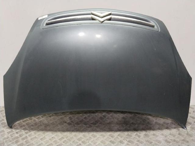 Maska Citroen Xsara