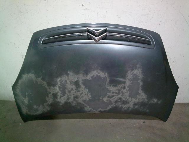 Maska Citroen Xsara
