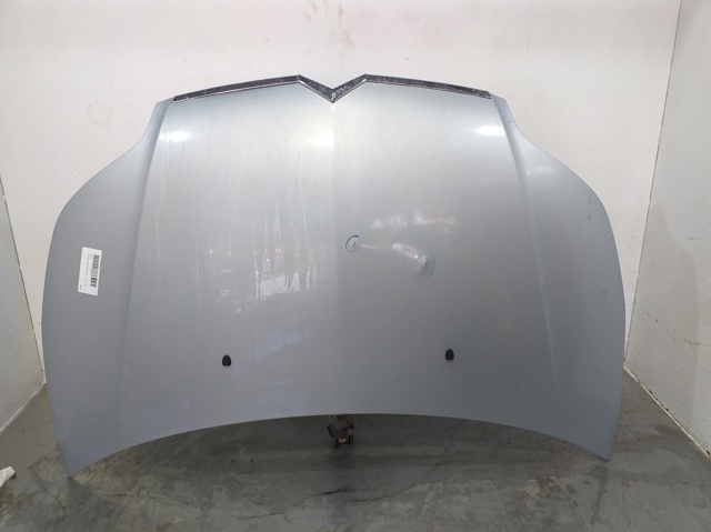 Maska Citroen C4