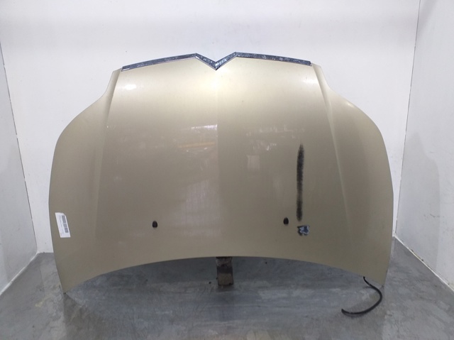 Maska Citroen C4