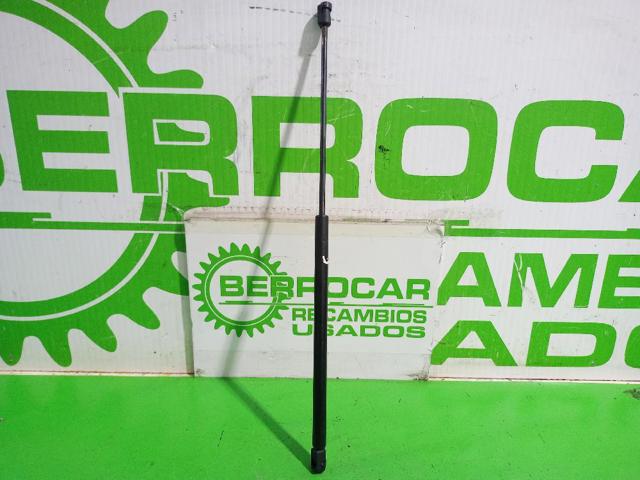 Amortyzator maski 792513 PEUGEOT