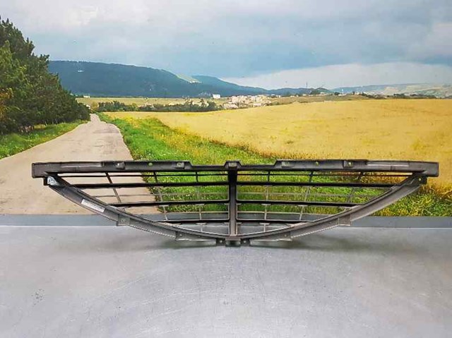 Atrapa chłodnicy SsangYong Actyon CJ