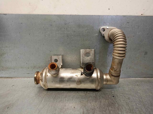 Chłodnica układu recyrkulacji spalin EGR  7T1Q9F464AB FORD