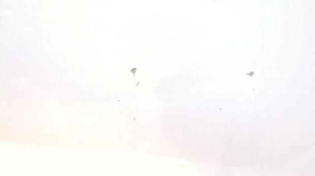 Drzwi przednie prawe Renault LOGAN 2 L52