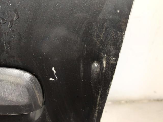 Drzwi przednie lewe Dacia Logan 2 L8_