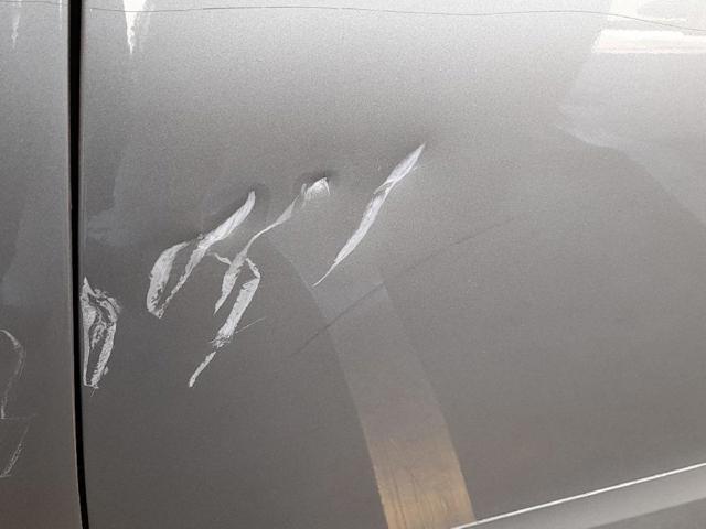 Drzwi przednie lewe 801014883R RENAULT