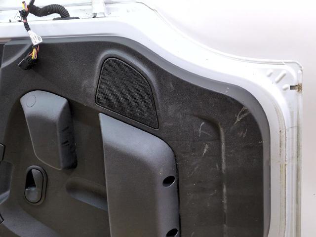 Drzwi przednie lewe Opel Movano X62