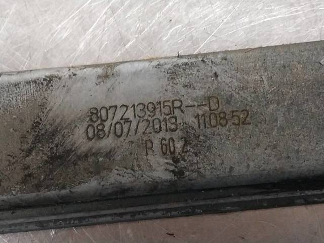 807213915R Renault (RVI)