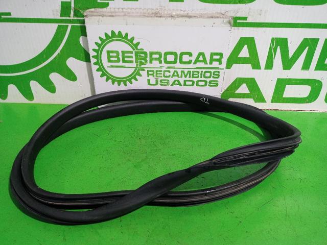 808321804R Renault (RVI)
