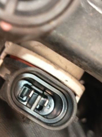 Lampa przeciwmgielna lewa 8122002110 TOYOTA
