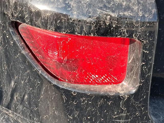8145642010 Toyota