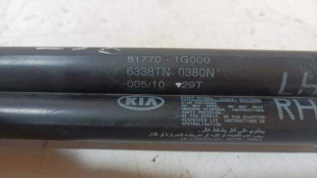 Amortyzator klapy bagażnika (3/5 drzwi-tylnych) 817701G000 HYUNDAI