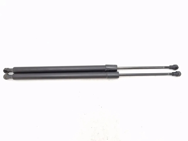 8200219322 Renault (RVI)