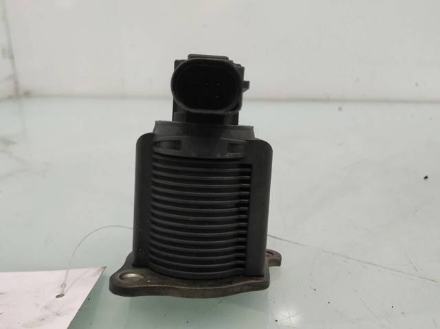 Zawór egr Nissan Kubistar