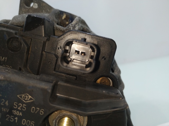 8200251006 Renault (RVI)