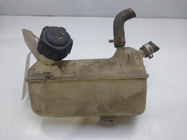 Zbiorniczek wyrównawczy układu chłodzenia 8200273157 RENAULT