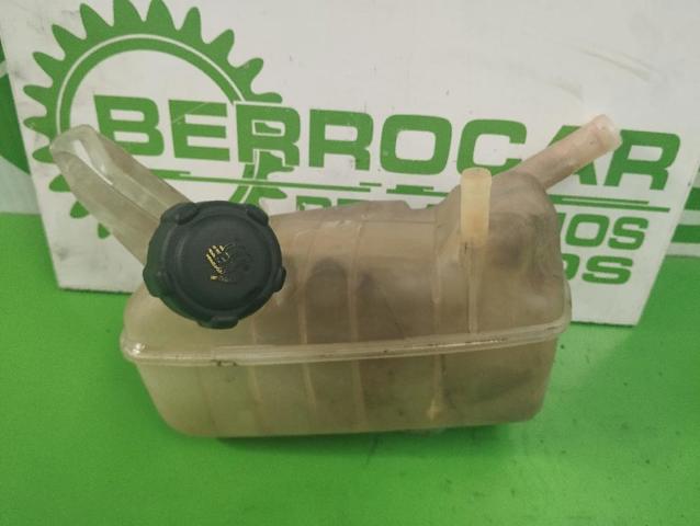 8200273157 Renault (RVI)