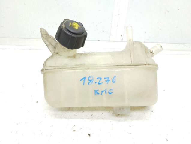 8200273157 Renault (RVI)