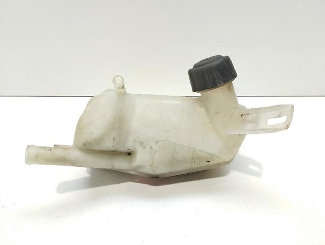 8200273157 Renault (RVI)