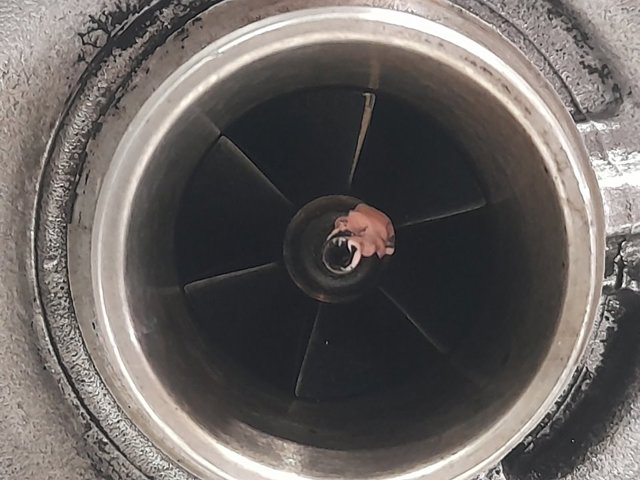 8200332125 Renault (RVI)