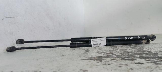 8200377199 Renault (RVI)