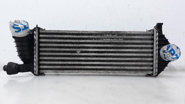 8200382109 Renault (RVI)