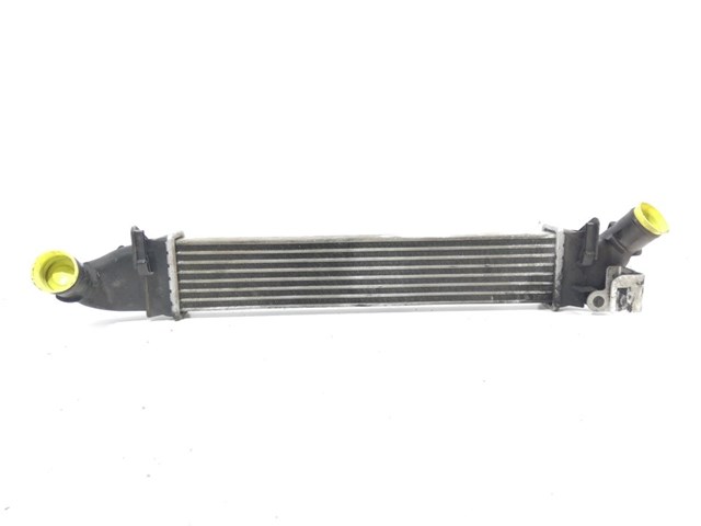 8200424155 Renault (RVI)