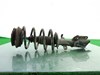 Amortyzator przedni 8200519158 RENAULT