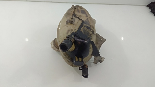 8200595002 Renault (RVI)