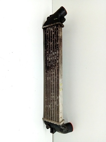 8200732384 Renault (RVI)