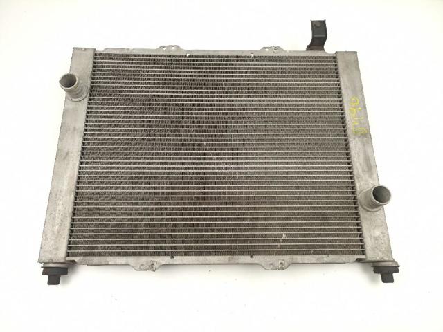 8200742598 Renault (RVI)