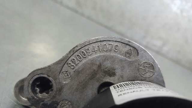 8200941079 Renault (RVI)