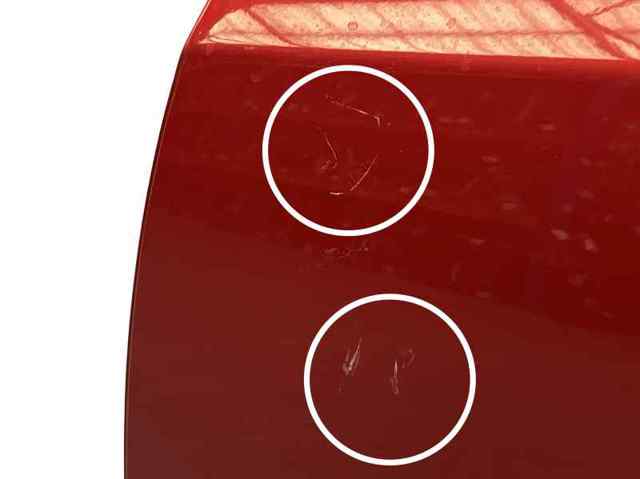 Drzwi tylne lewe 821003885R RENAULT