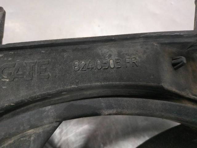 8240503FR Peugeot/Citroen