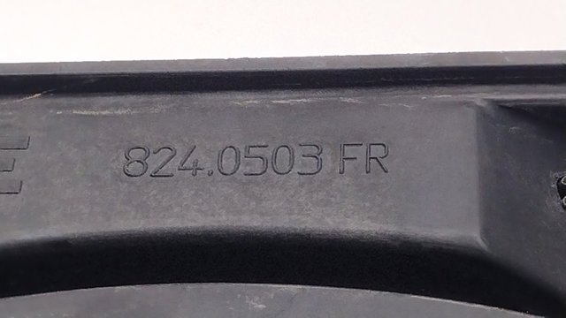 8240503FR Peugeot/Citroen