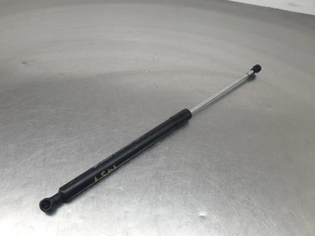 Amortyzator klapy bagażnika (3/5 drzwi-tylnych) 844300001R RENAULT