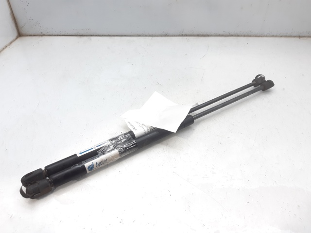 Amortyzator klapy bagażnika (3/5 drzwi-tylnych) 844300001R RENAULT