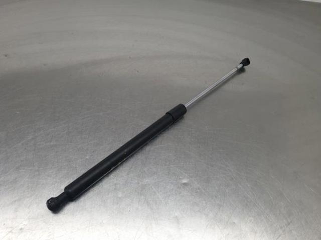 Amortyzator klapy bagażnika (3/5 drzwi-tylnych) 844300001R RENAULT