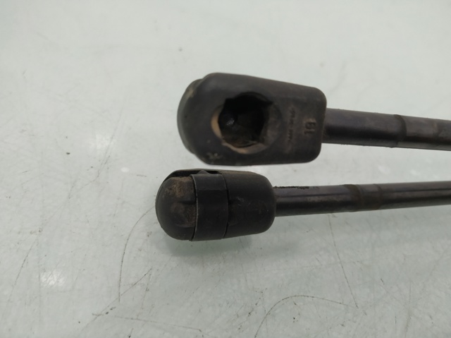 844300009R Renault (RVI)