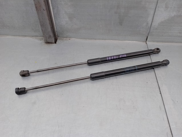 844300009R Renault (RVI)