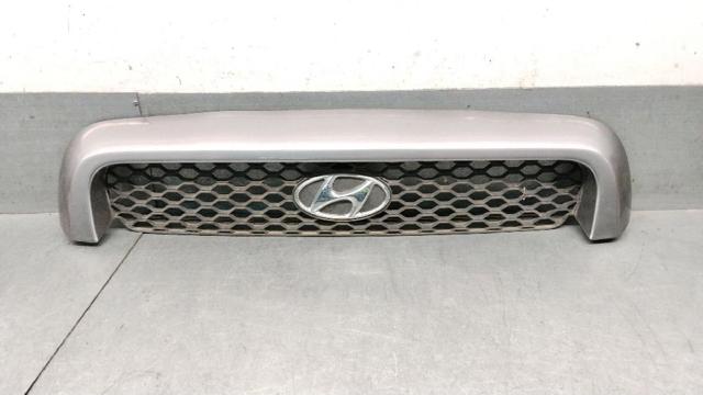 Atrapa chłodnicy do Hyundai Santa Fe SM